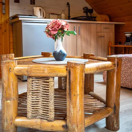 Pod Sosnami Osrodek Wypoczynkowy Letnisko בוז'קובו