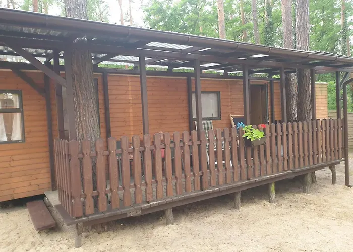Pod Sosnami Osrodek Wypoczynkowy Letnisko בוז'קובו