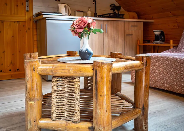 Pod Sosnami Osrodek Wypoczynkowy Letnisko בוז'קובו